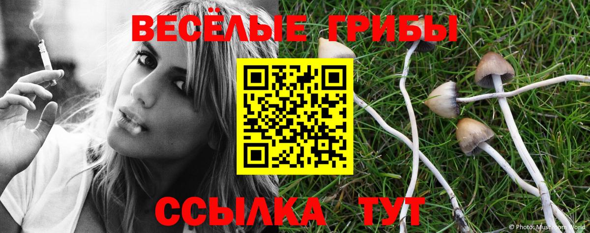 Севастополь  Псилоцибиновые грибы Magic Shrooms  Галлюциногенные грибы MAGIC MUSHROOMS  Вход с VPN 